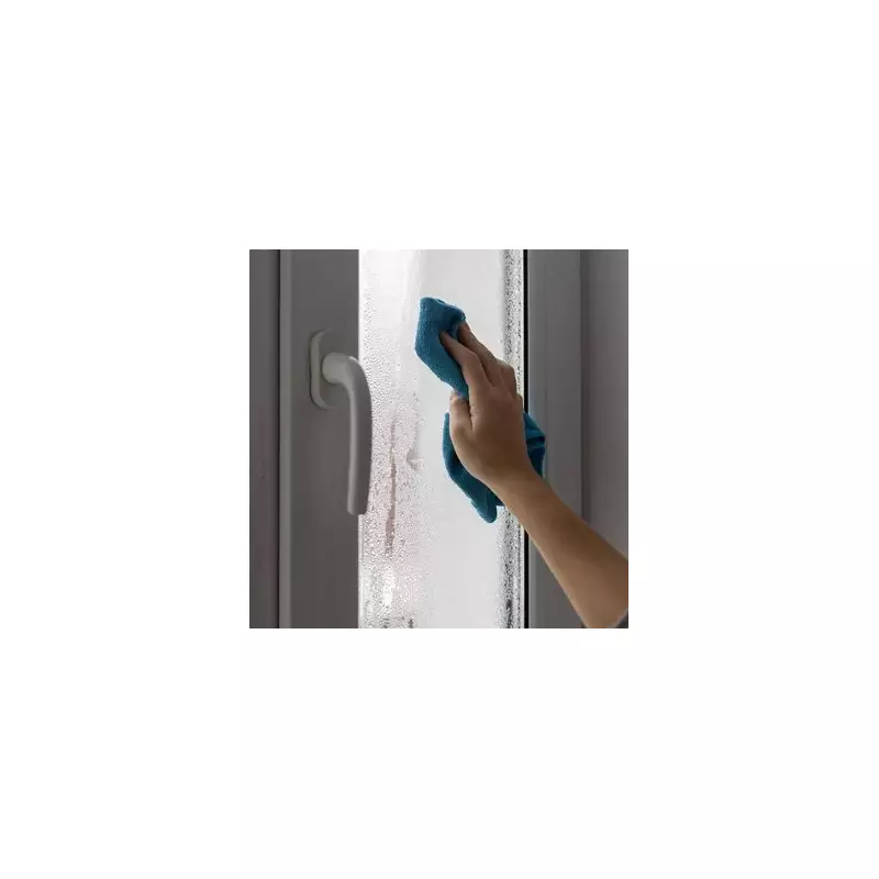 50p Salt Trick Banishes Window Condensation Overnight, Expert Reveals