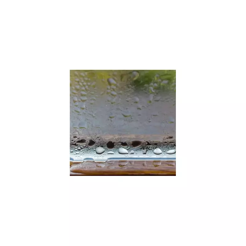 6 Experts Reveal 1 Simple Trick To Stop Window Condensation