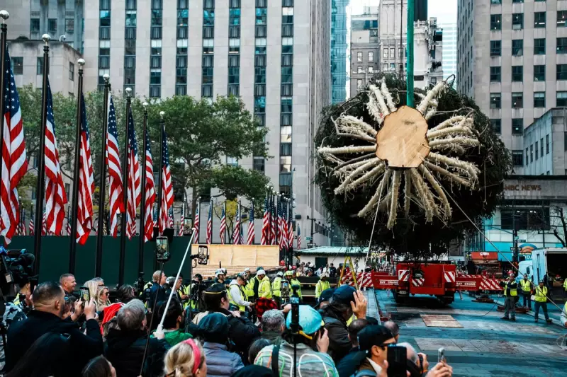 75-Foot Rockefeller Christmas Tree Arrives, Kicking Off NYC Holidays