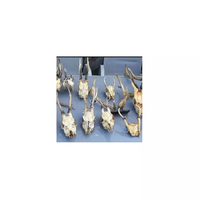 80% of Wildlife Criminals Linked to Serious Offences, Report Reveals