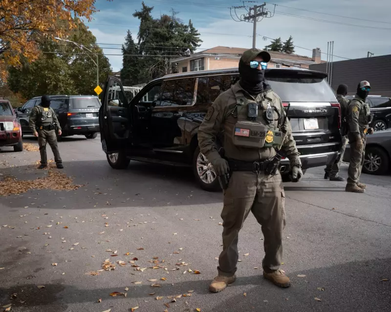 97% of Chicago Immigrants in Trump Raid Had No Criminal Convictions