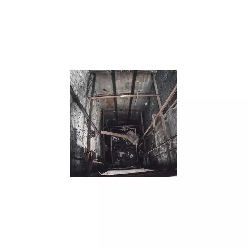 Abandoned Dog's Miraculous Survival: Urban Explorers Discover Starving Pup Guarding Empty Mansion