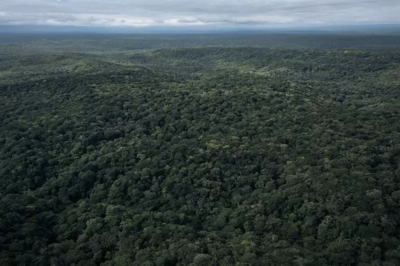 Amazon and Congo Unite: Historic Alliance Forms to Protect World's Lungs from Deforestation Crisis