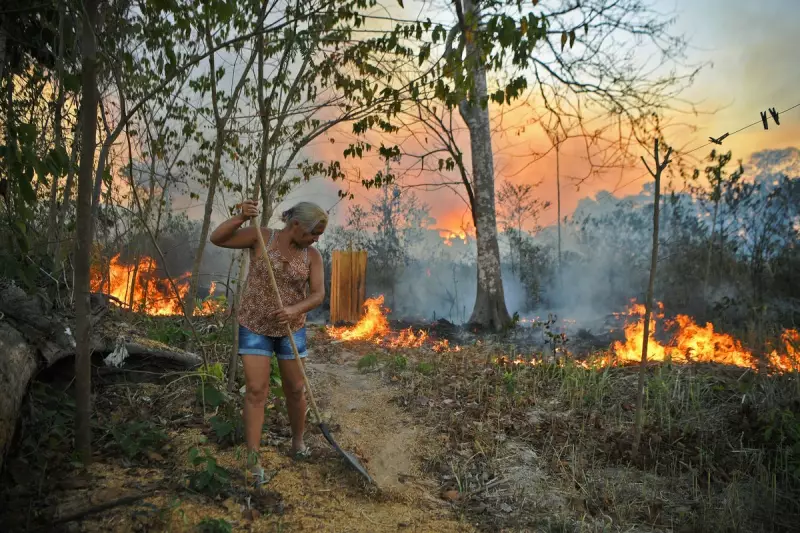 Amazon Rainforest Now More Polluted Than London and Beijing, Shocking Study Reveals