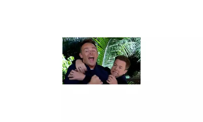 Ant and Dec's Fake Fight Leaves I'm A Celeb Viewers in Hysterics