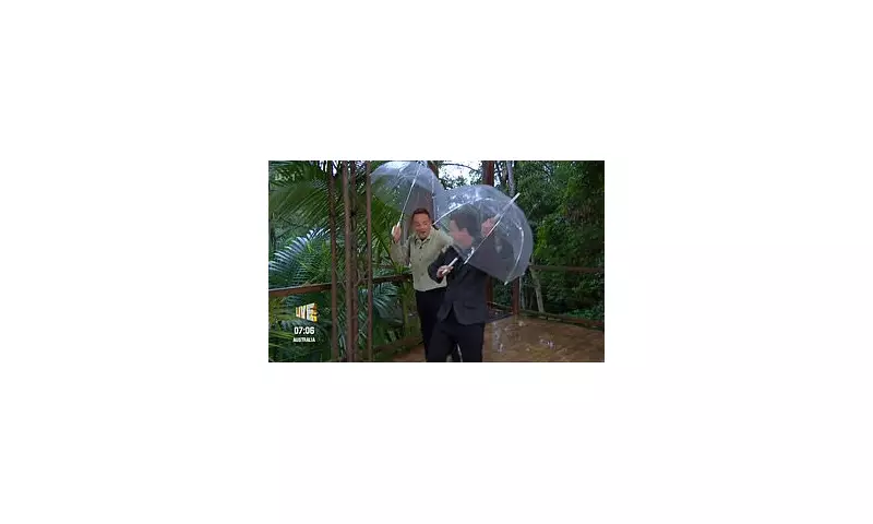 Ant McPartlin's Slip Sparks Hysterics on I'm A Celebrity Opening