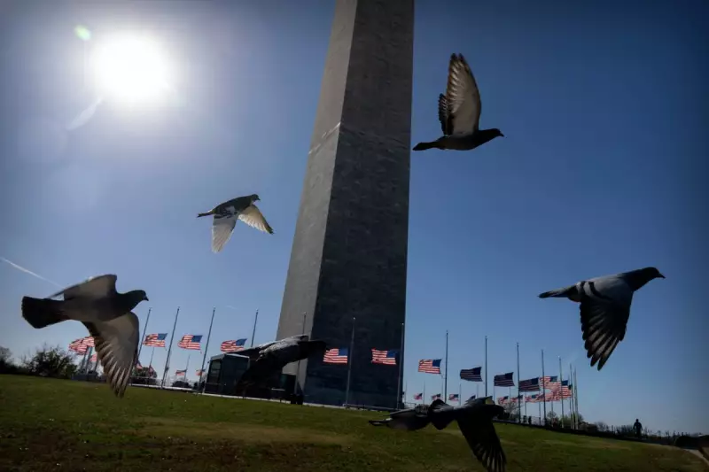 APS Unveils Stunning Daily Photo Selection by Top Photojournalists