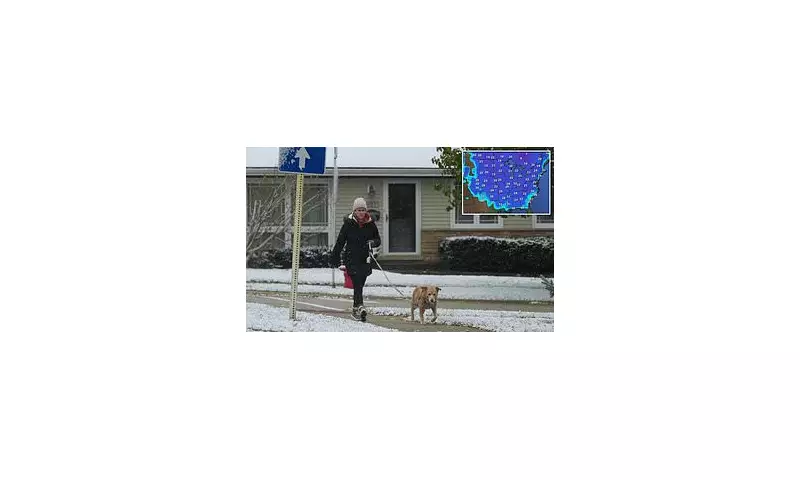 Arctic Blast Hits US: 155 Million Under Weather Alerts as Snow Spreads