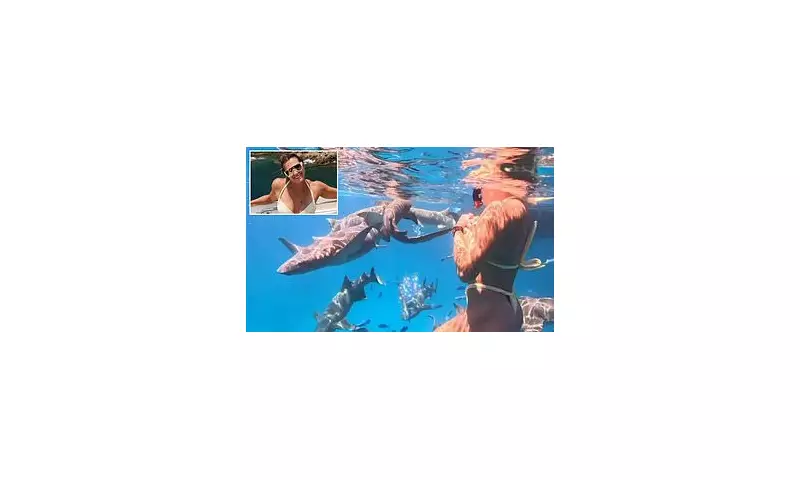 Aryna Sabalenka Swims with Sharks After £4m WTA Finals Defeat