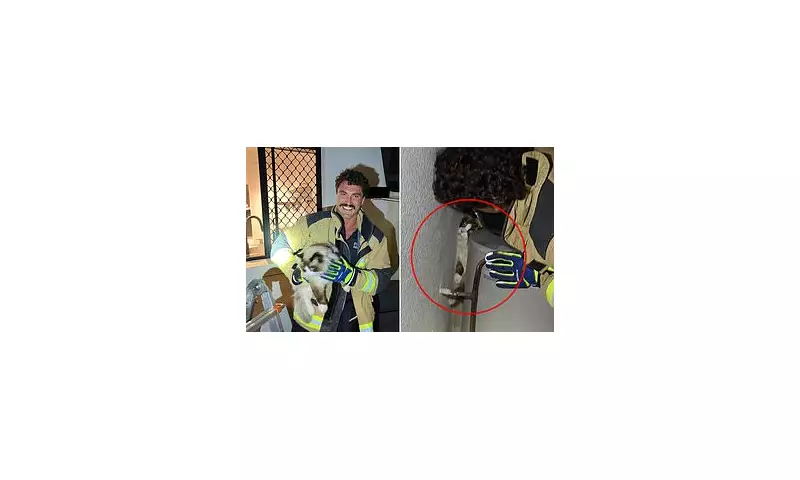 Australian Firefighter Becomes Internet Sensation After Cat Rescue