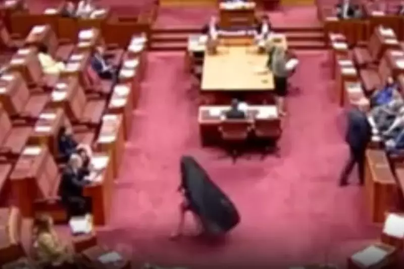 Australian Senator Sparks Outrage After Wearing Burqa in Parliament