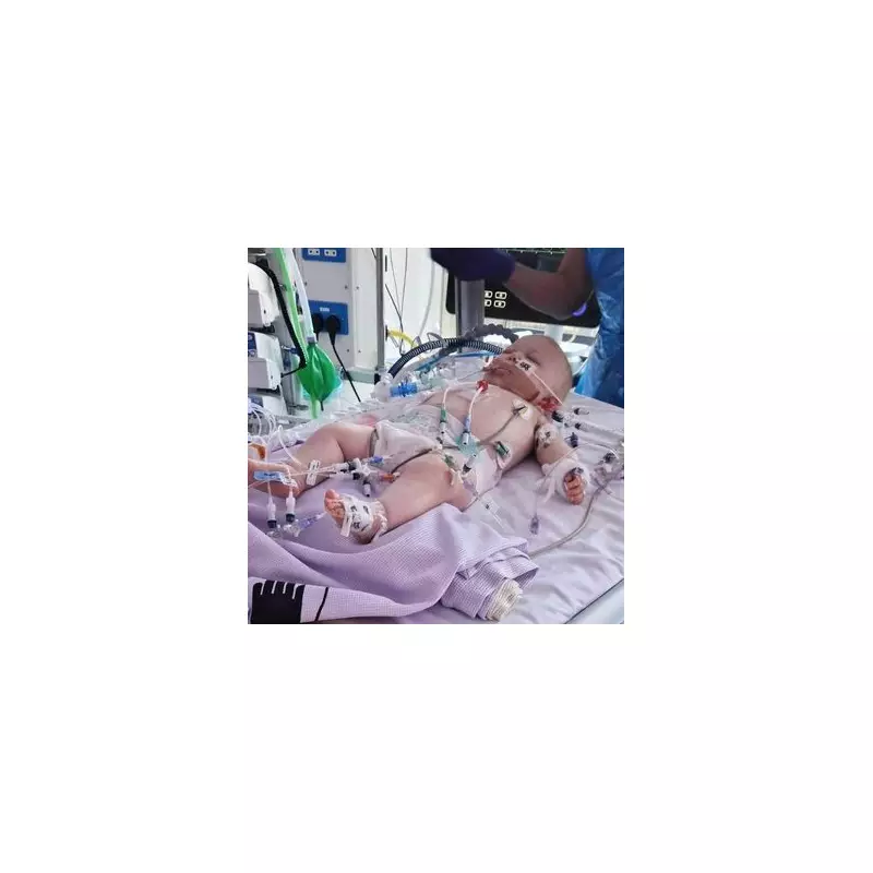 Baby's Cold Turns Out to Be Rare Leukaemia: Family's Heartbreak