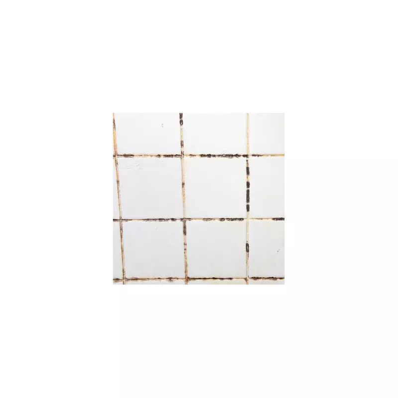 Banish Bathroom Mould for Good: 5p Hack Stops Spores Spreading