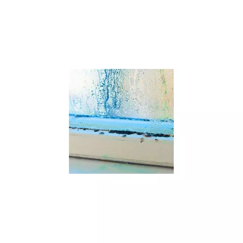 Banish window condensation with one simple daily morning habit