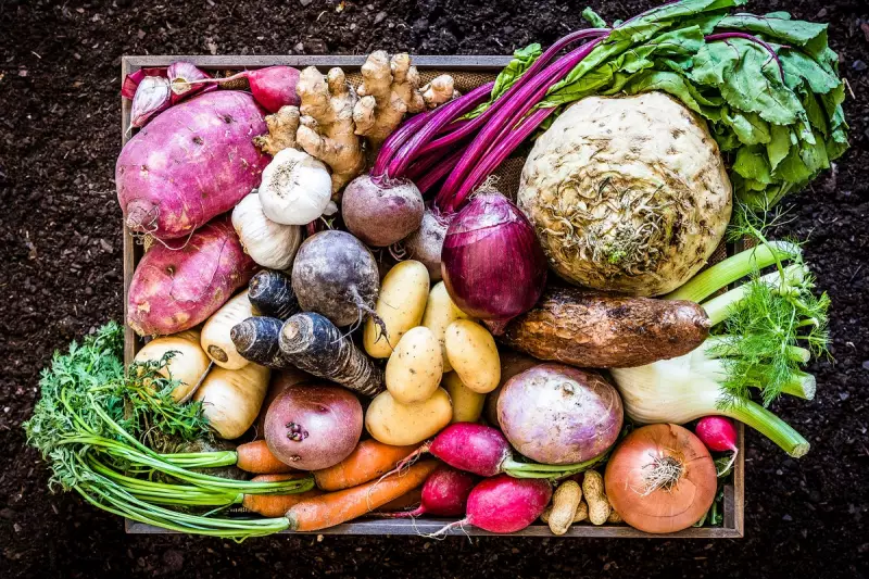 Beetroot Breakthrough: How This Humble Vegetable Could Transform Blood Pressure Treatment