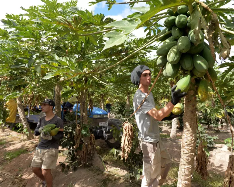 Beyond Backpacking: The Financial Realities of Modern Gap Years