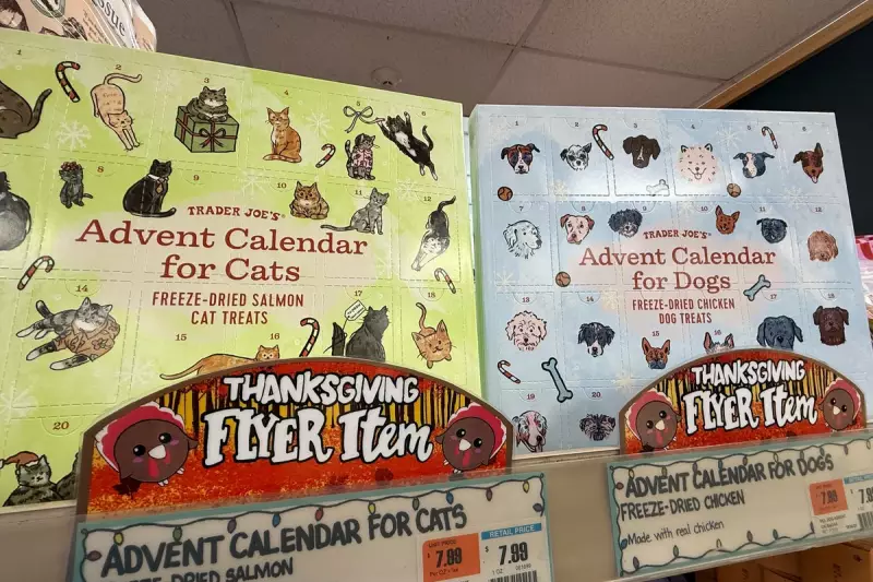 Beyond Chocolate: Advent Calendars Evolve for Pets, Gardeners & Makers