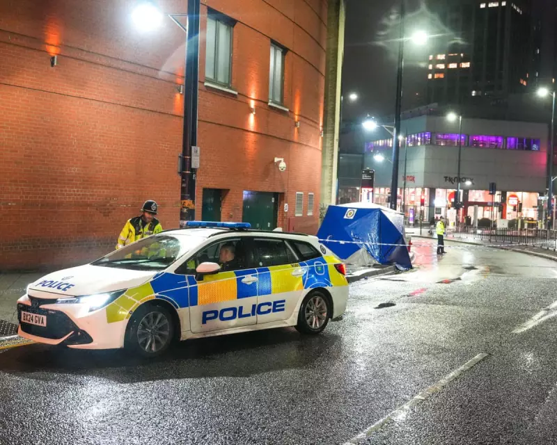 Birmingham stabbing: Woman dies after neck attack in city