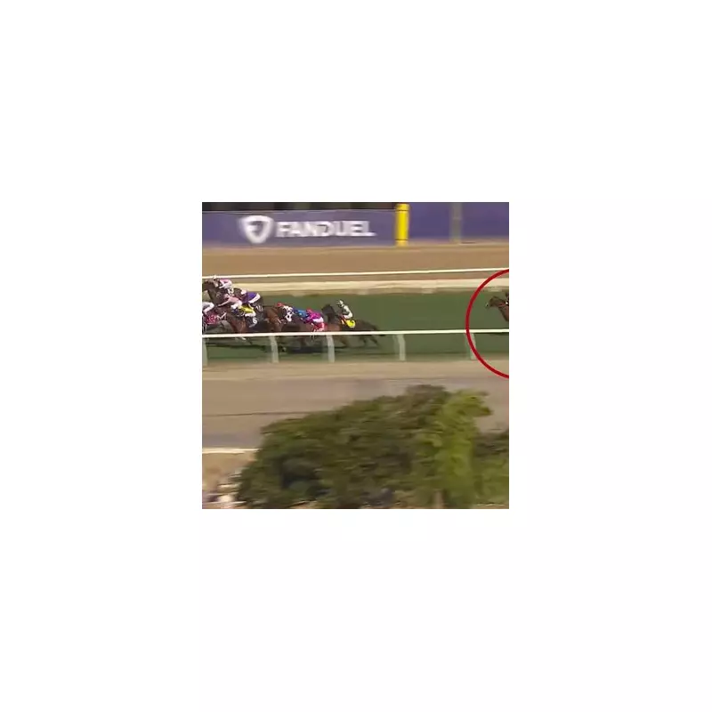 Breeders' Cup Dreams Dashed as Star Jockey Callum Davison Suffers Devastating Injury