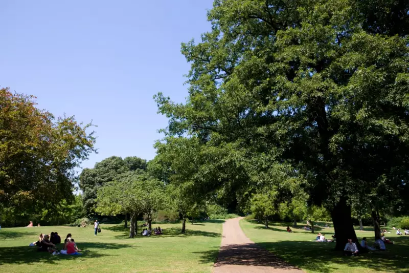 Britain's Nature Deficit: How Reconnecting With Our Wild Spaces Could Transform Our Future