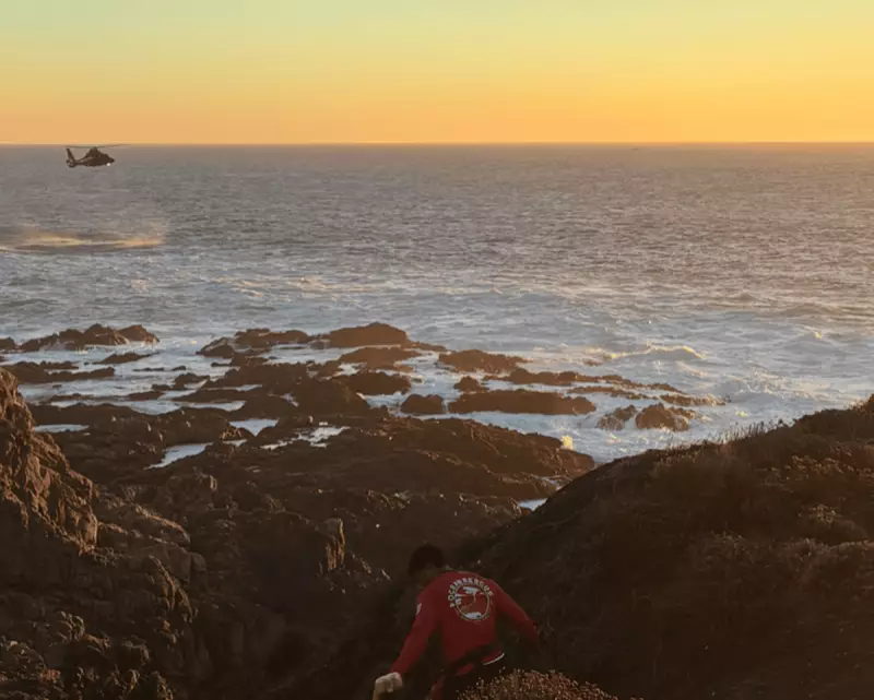 California Coast Search: Man Swept to Sea at Big Sur, Second Tragedy in Weeks