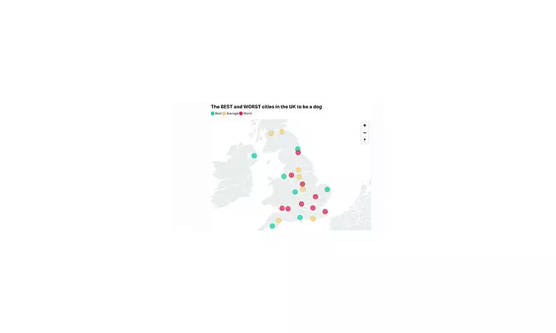 Cambridge Ranked Worst UK City for Dog Happiness in New Study