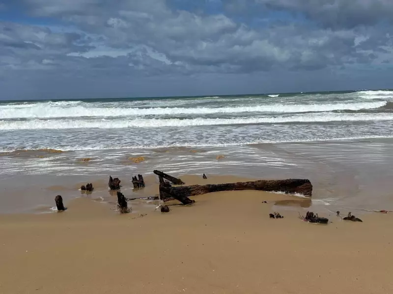 Century-Old Shipwreck Mystery Unearthed on Victorian Beach After Storm