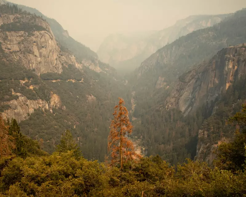 Climate Crisis Impacts: How Americans Face Daily Life Changes