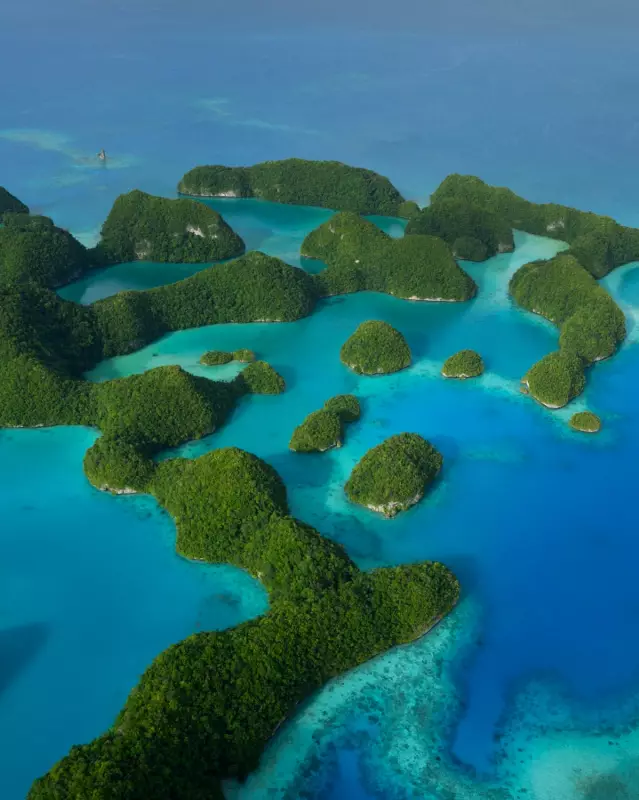 COP30: Global Climate Summit Faces Critical Test Amid Rising Threats