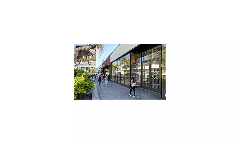 Coyote Attack at San Diego Mall Leaves Two Children Seriously Injured
