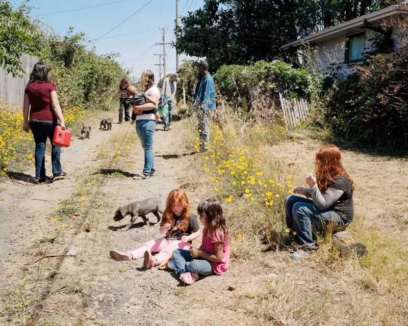 Curran Hatleberg's Lost Coast: Capturing California's Edge of the World