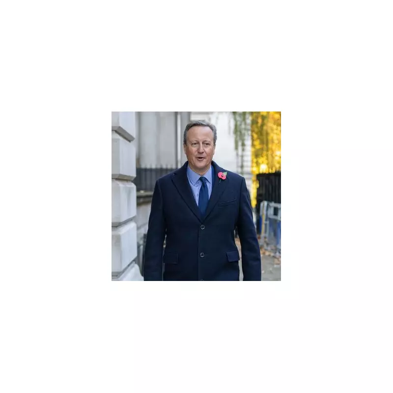 David Cameron Reveals Prostate Cancer Diagnosis Following Wife's Plea