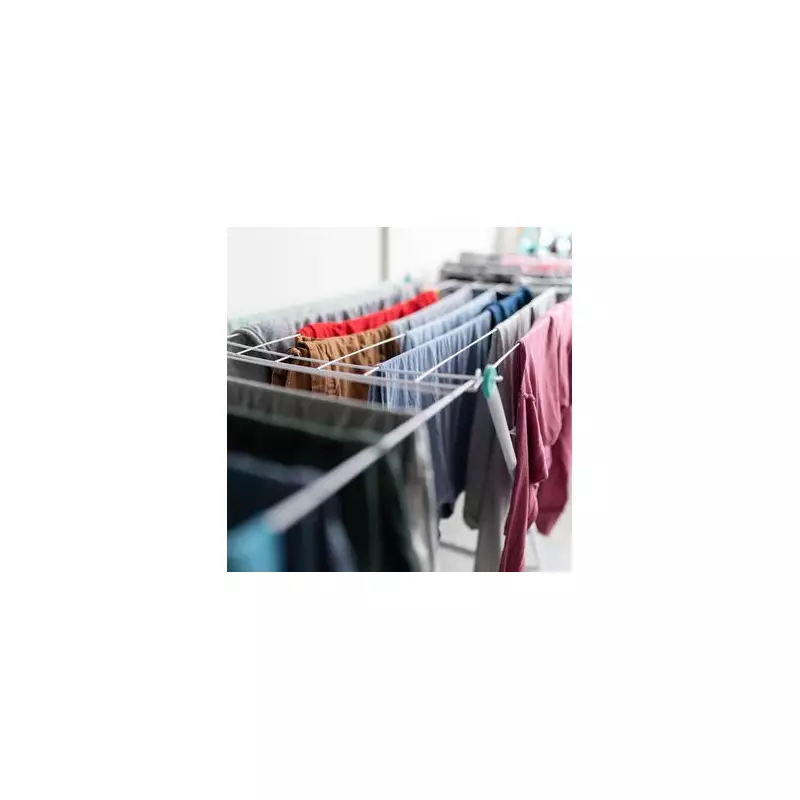 Dehumidifier hack dries laundry twice as fast and prevents mould