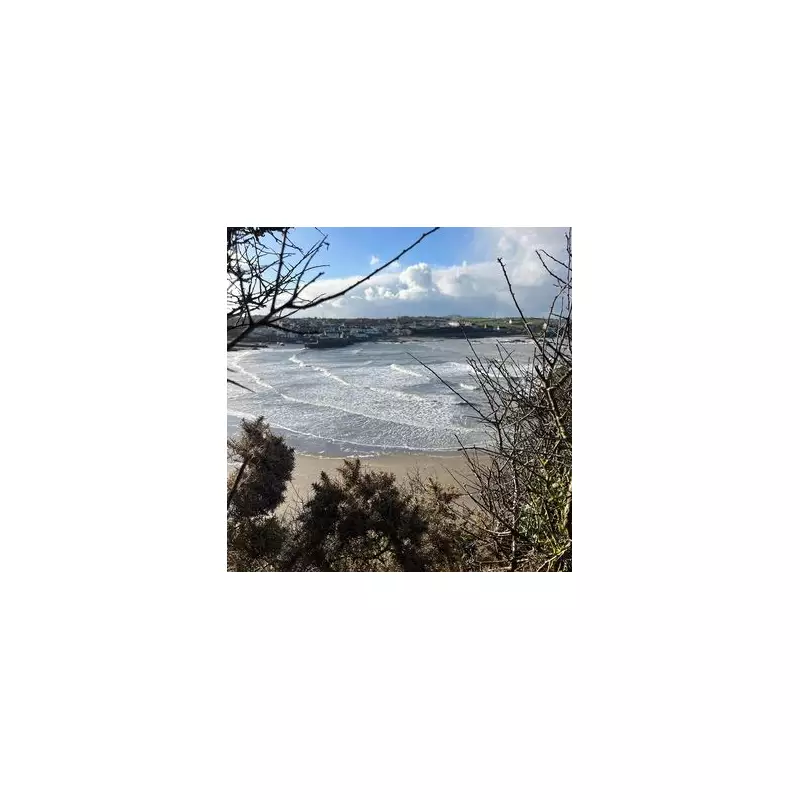 Discover Cemaes: Wales' Coastal Gem with 440 AD Church & Stunning Views