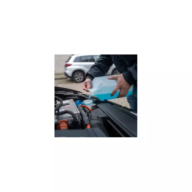 DIY Windscreen Washer: Save Money With 3 Household Ingredients