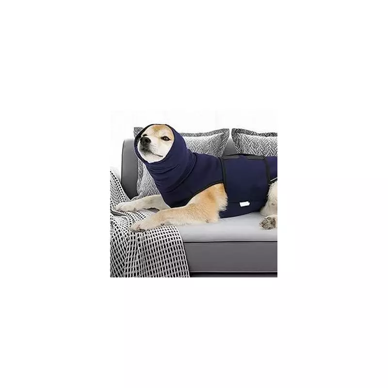 Dog Owners Are Raving About This Calming Bed That Eases Pet Anxiety - And It's 40% Off