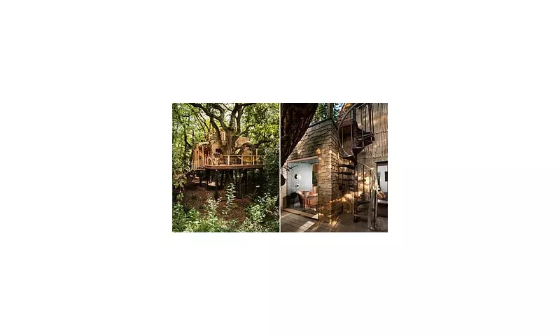 Dorset's £2M Luxury Treehouse Retreat Hits the Market After Decade of Craftsmanship