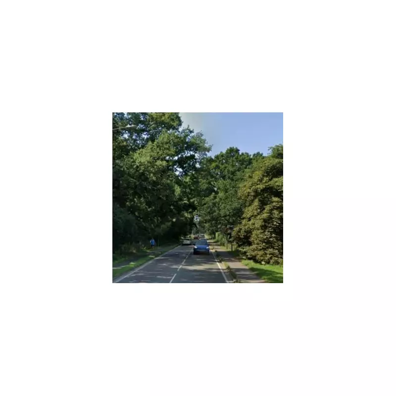 Driver Jailed for 4.5 Years After Fatal Crash Ignoring Medical Advice