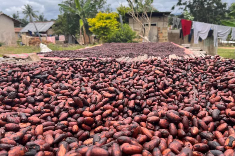 Earth's Hidden Climate Time Bomb: Scientists Discover Massive Anomaly Beneath Planet's Surface