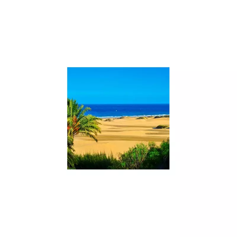 Escape UK Winter to Europe's Sunniest Beach for £23 This Week