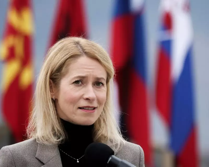 EU in Crisis: Von der Leyen's Leadership Challenged as Far-Right Gains Ground