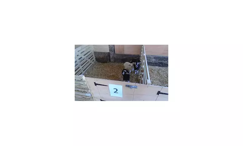 Farm fined £20k after Cryptosporidium outbreak infects 264 visitors