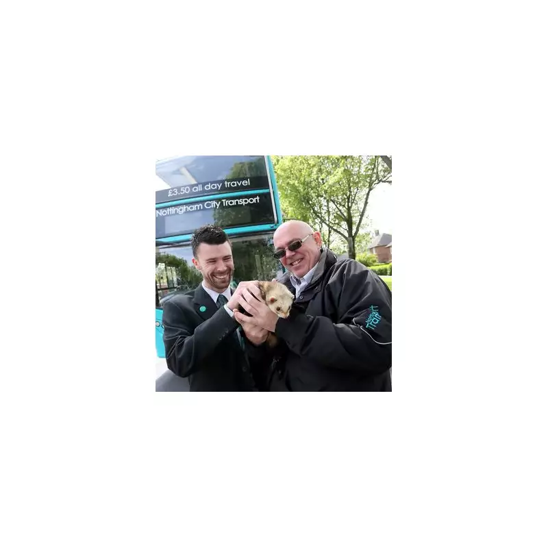 Ferret Rides UK Bus: Driver Mitch Tuffill's Unusual Passenger