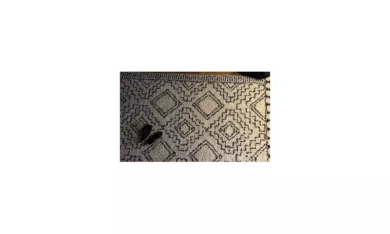Find The Hidden Hanger In This Viral Optical Illusion Challenge