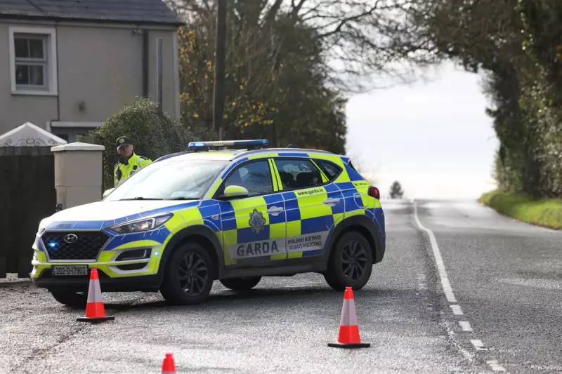 Five Young Adults Killed in Devastating Co Louth Road Crash