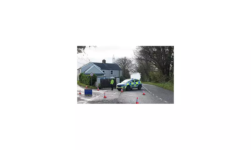 Five Young Adults Killed in Devastating County Louth Road Crash