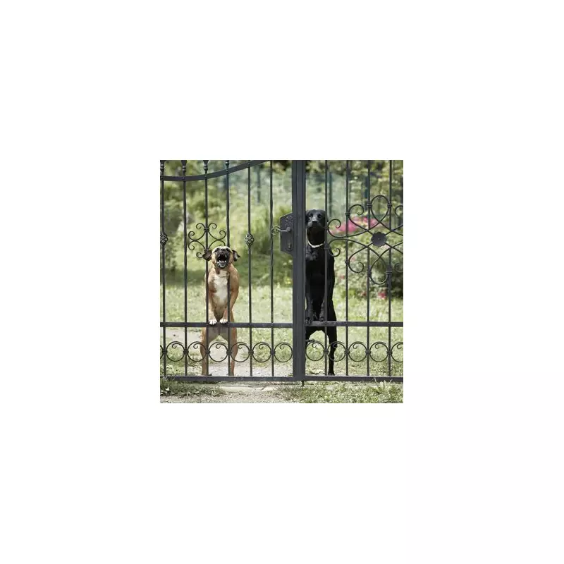 Florida Man Killed in Freak Accident by Pet Dog in Vehicle