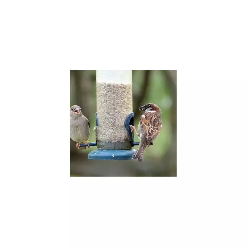 Gardeners must check bird feeders every 24 hours to prevent disease