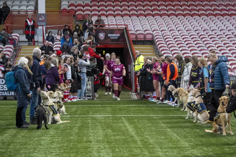 Guide Dogs Puppies Form Guard of Honour at Women's Rugby Match