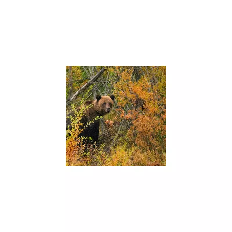 Hero Teachers Shield Pupils in Canadian Grizzly Bear Attack